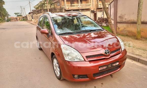 Buy Used Toyota Verso Red Car in Yaounde in Central Cameroon Buy Used Toyota Verso Red Car in Yaounde in Central Cameroon