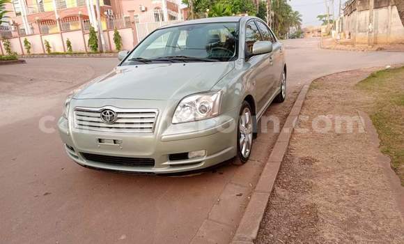 Buy Used Toyota Avensis Brown Car in Yaounde in Central Cameroon