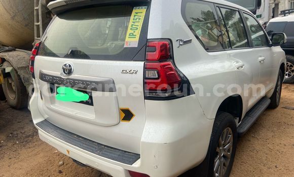 Acheter Import Voiture Toyota Land Cruiser Prado Blanc à Douala, Littoral Cameroon Acheter Import Voiture Toyota Land Cruiser Prado Blanc à Douala, Littoral Cameroon