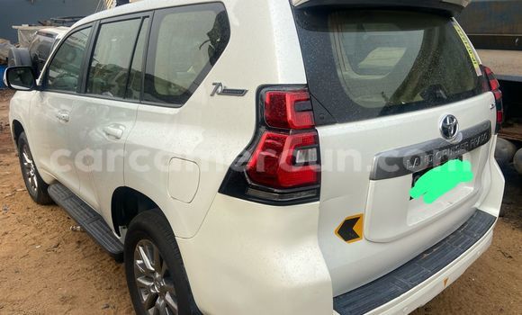 Acheter Import Voiture Toyota Land Cruiser Prado Blanc à Douala, Littoral Cameroon Acheter Import Voiture Toyota Land Cruiser Prado Blanc à Douala, Littoral Cameroon