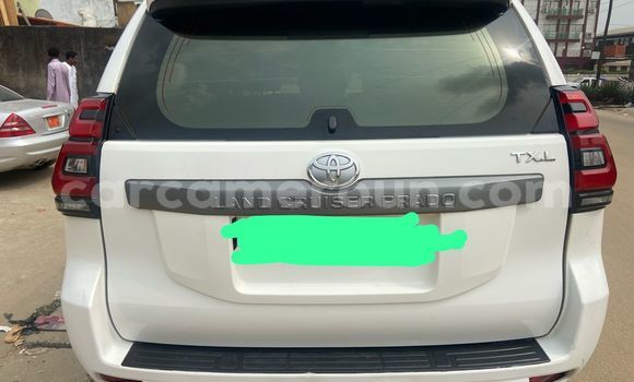 Buy Import Toyota Land Cruiser Prado White Car in Douala in Littoral Cameroon Buy Import Toyota Land Cruiser Prado White Car in Douala in Littoral Cameroon