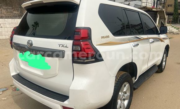 Buy Import Toyota Land Cruiser Prado White Car in Douala in Littoral Cameroon Buy Import Toyota Land Cruiser Prado White Car in Douala in Littoral Cameroon