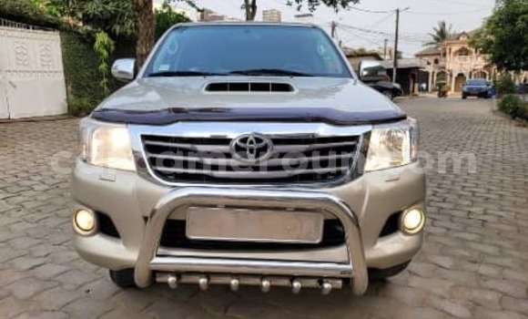 Buy Import Toyota Hilux Surf Silver Car in Douala in Littoral Cameroon