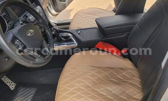 Buy Used Kia K5 Silver Car in Yaounde in Central Cameroon Buy Used Kia K5 Silver Car in Yaounde in Central Cameroon