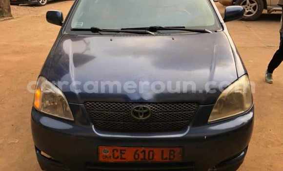 Sayi Na hannu Toyota Corolla Blue Mota in Yaounde a Babban Kamaru Sayi Na hannu Toyota Corolla Blue Mota in Yaounde a Babban Kamaru
