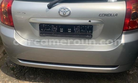 Acheter Import Voiture Toyota Corolla Gris à Douala, Littoral Cameroon Acheter Import Voiture Toyota Corolla Gris à Douala, Littoral Cameroon