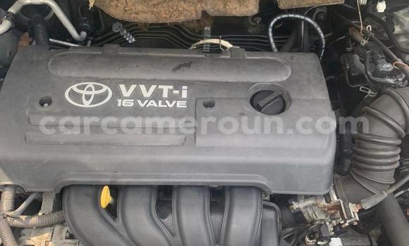 Acheter Import Voiture Toyota Corolla Gris à Douala, Littoral Cameroon Acheter Import Voiture Toyota Corolla Gris à Douala, Littoral Cameroon