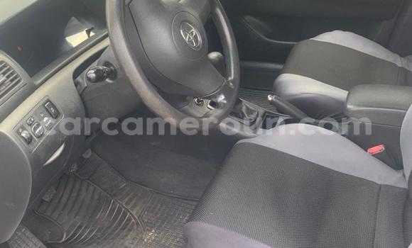 Acheter Import Voiture Toyota Corolla Gris à Douala, Littoral Cameroon Acheter Import Voiture Toyota Corolla Gris à Douala, Littoral Cameroon