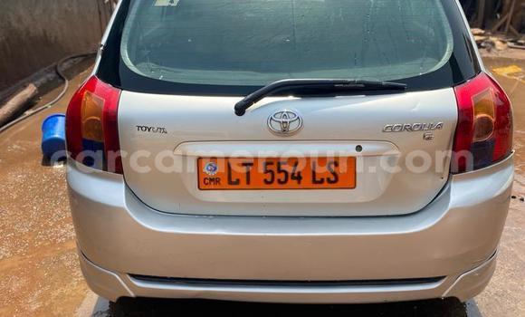 Acheter Occasion Voiture Toyota Corolla Gris à Yaoundé, Central Cameroon Acheter Occasion Voiture Toyota Corolla Gris à Yaoundé, Central Cameroon