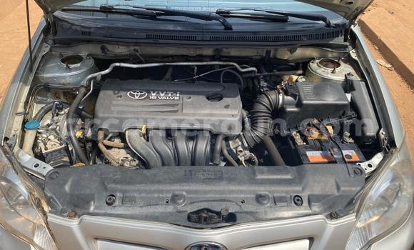 Acheter Occasion Voiture Toyota Corolla Gris à Yaoundé, Central Cameroon Acheter Occasion Voiture Toyota Corolla Gris à Yaoundé, Central Cameroon