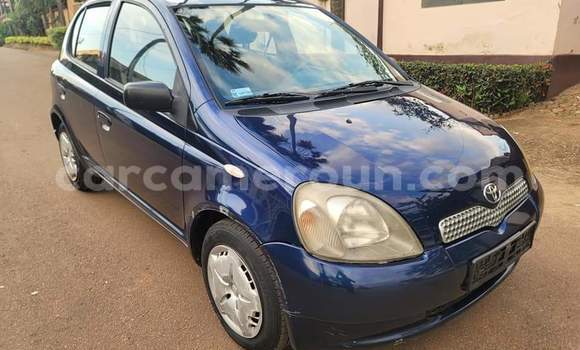 Buy Used Toyota Yaris Blue Car in Yaounde in Central Cameroon