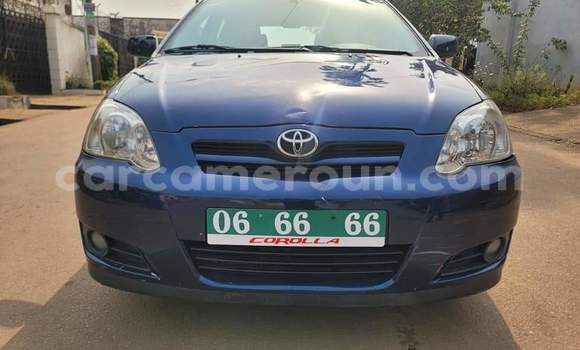 Buy Used Toyota Corolla Blue Car in Yaounde in Central Cameroon Buy Used Toyota Corolla Blue Car in Yaounde in Central Cameroon