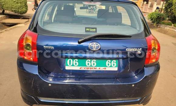 Buy Used Toyota Corolla Blue Car in Yaounde in Central Cameroon Buy Used Toyota Corolla Blue Car in Yaounde in Central Cameroon