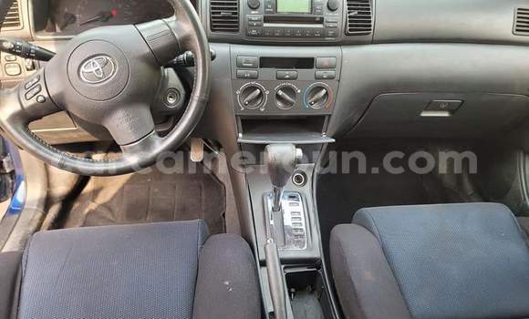 Buy Used Toyota Corolla Blue Car in Yaounde in Central Cameroon Buy Used Toyota Corolla Blue Car in Yaounde in Central Cameroon