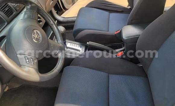 Buy Used Toyota Corolla Blue Car in Yaounde in Central Cameroon Buy Used Toyota Corolla Blue Car in Yaounde in Central Cameroon