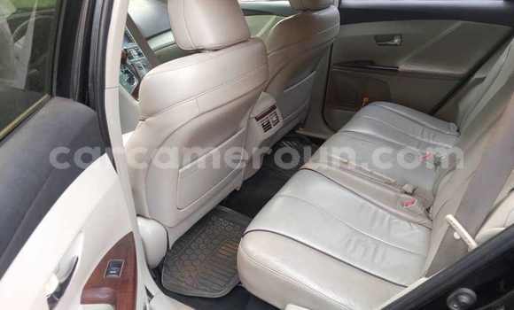 Buy Used Toyota Venza Black Car in Yaounde in Central Cameroon Buy Used Toyota Venza Black Car in Yaounde in Central Cameroon