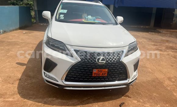 Acheter Occasion Voiture Lexus RX 350 Blanc à Yaoundé, Central Cameroon