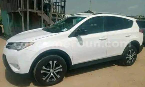 Buy Used Toyota RAV4 White Car in Douala in Littoral Cameroon