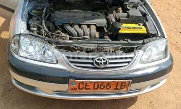Sayi Na hannu Toyota Avensis Azurfa Mota in Yaounde a Babban Kamaru Sayi Na hannu Toyota Avensis Azurfa Mota in Yaounde a Babban Kamaru