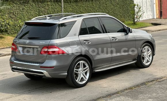 Acheter Import Voiture Mercedes‒Benz ML–Class Gris à Douala, Littoral Cameroon Acheter Import Voiture Mercedes‒Benz ML–Class Gris à Douala, Littoral Cameroon