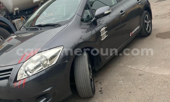 Buy New Toyota Auris Beige Car in Douala in Littoral Cameroon Buy New Toyota Auris Beige Car in Douala in Littoral Cameroon