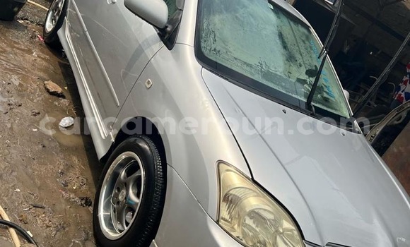 Buy New Toyota Runx Silver Car in Douala in Littoral Cameroon
