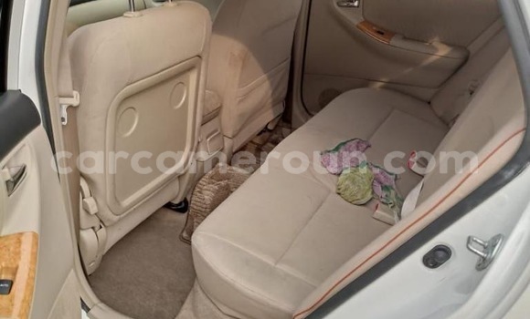 Buy New Toyota Runx White Car in Douala in Littoral Cameroon Buy New Toyota Runx White Car in Douala in Littoral Cameroon