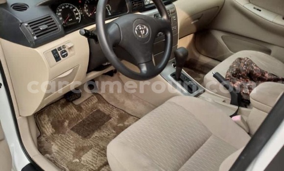 Buy New Toyota Runx White Car in Douala in Littoral Cameroon Buy New Toyota Runx White Car in Douala in Littoral Cameroon
