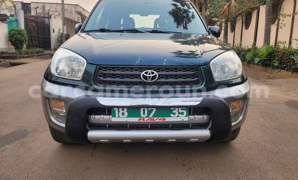 Acheter Occasion Voiture Toyota RAV4 Noir à Yaoundé, Central Cameroon Acheter Occasion Voiture Toyota RAV4 Noir à Yaoundé, Central Cameroon
