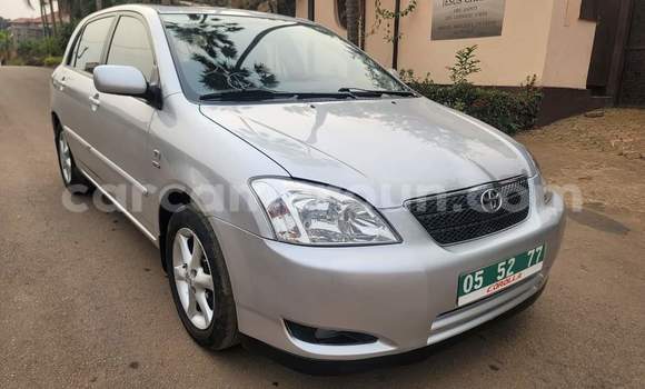 Acheter Occasion Voiture Toyota Corolla Gris à Yaoundé, Central Cameroon Acheter Occasion Voiture Toyota Corolla Gris à Yaoundé, Central Cameroon