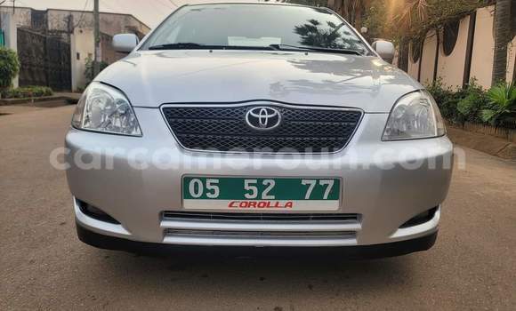 Acheter Occasion Voiture Toyota Corolla Gris à Yaoundé, Central Cameroon Acheter Occasion Voiture Toyota Corolla Gris à Yaoundé, Central Cameroon