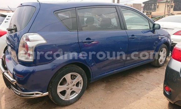 Buy Used Toyota Corolla Blue Car in Yaounde in Central Cameroon Buy Used Toyota Corolla Blue Car in Yaounde in Central Cameroon