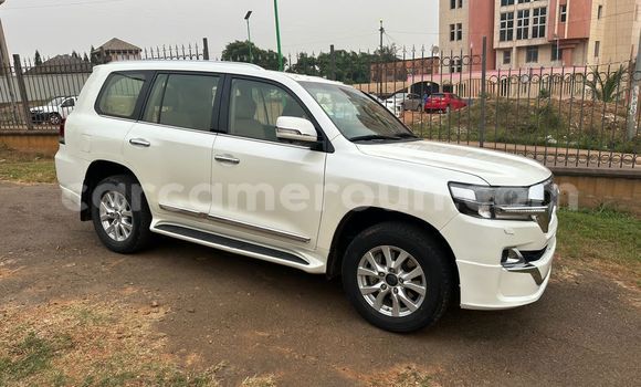 Buy Used Toyota Land Cruiser Prado White Car in Yaounde in Central Cameroon Buy Used Toyota Land Cruiser Prado White Car in Yaounde in Central Cameroon