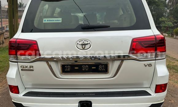 Buy Used Toyota Land Cruiser Prado White Car in Yaounde in Central Cameroon Buy Used Toyota Land Cruiser Prado White Car in Yaounde in Central Cameroon