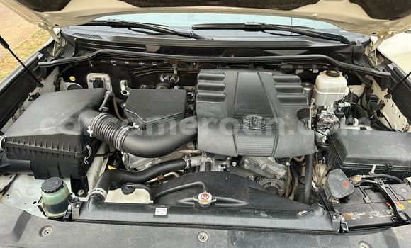 Buy Used Toyota Land Cruiser Prado White Car in Yaounde in Central Cameroon Buy Used Toyota Land Cruiser Prado White Car in Yaounde in Central Cameroon