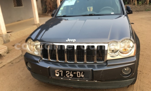 Acheter Import Voiture Jeep Grand Cherokee Beige à Douala, Littoral Cameroon