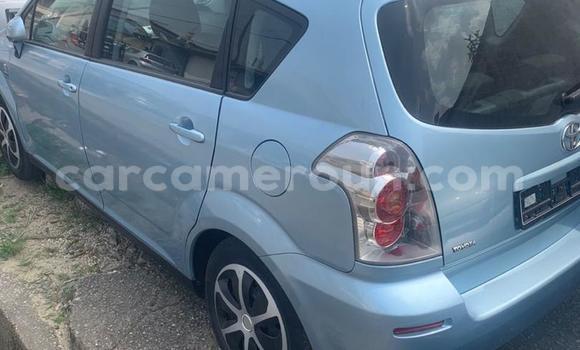 Acheter Import Voiture Toyota Corolla Verso Bleu à Douala, Littoral Cameroon Acheter Import Voiture Toyota Corolla Verso Bleu à Douala, Littoral Cameroon