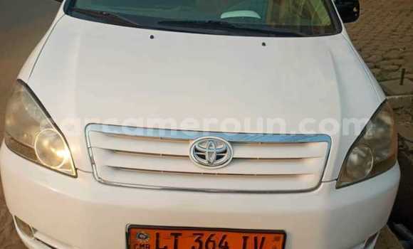 Acheter Occasion Voiture Toyota Avensis Blanc à Douala, Littoral Cameroon