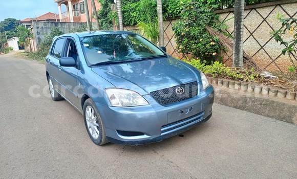 Buy Used Toyota Corolla Silver Car in Yaounde in Central Cameroon Buy Used Toyota Corolla Silver Car in Yaounde in Central Cameroon