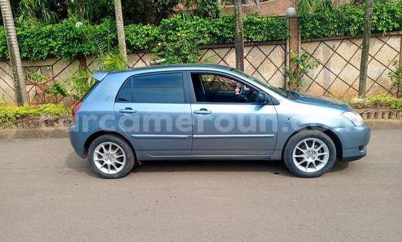 Buy Used Toyota Corolla Silver Car in Yaounde in Central Cameroon Buy Used Toyota Corolla Silver Car in Yaounde in Central Cameroon