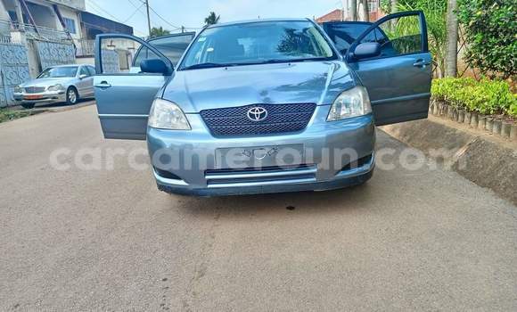 Buy Used Toyota Corolla Silver Car in Yaounde in Central Cameroon Buy Used Toyota Corolla Silver Car in Yaounde in Central Cameroon