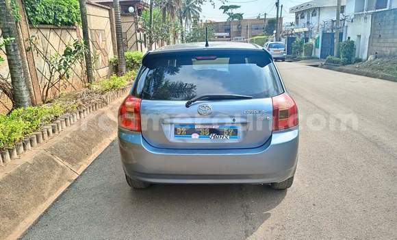 Buy Used Toyota Corolla Silver Car in Yaounde in Central Cameroon Buy Used Toyota Corolla Silver Car in Yaounde in Central Cameroon