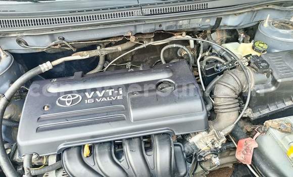 Buy Used Toyota Corolla Silver Car in Yaounde in Central Cameroon Buy Used Toyota Corolla Silver Car in Yaounde in Central Cameroon