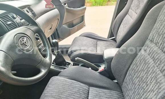 Buy Used Toyota Corolla Silver Car in Yaounde in Central Cameroon Buy Used Toyota Corolla Silver Car in Yaounde in Central Cameroon