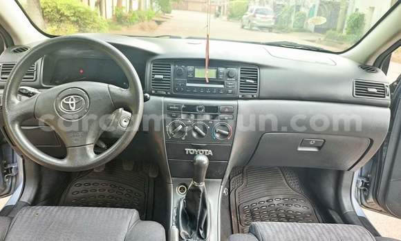 Buy Used Toyota Corolla Silver Car in Yaounde in Central Cameroon Buy Used Toyota Corolla Silver Car in Yaounde in Central Cameroon