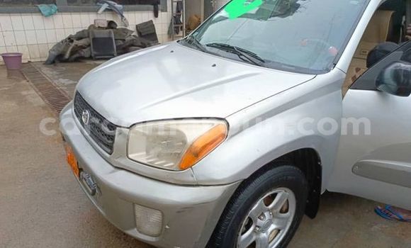 Buy Used Toyota RAV4 Other Car in Ambam in South Cameroon