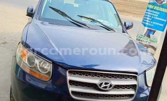Sayi Na hannu Hyundai Santa Fe Blue Mota in Douala a Ƙasar Kamaru