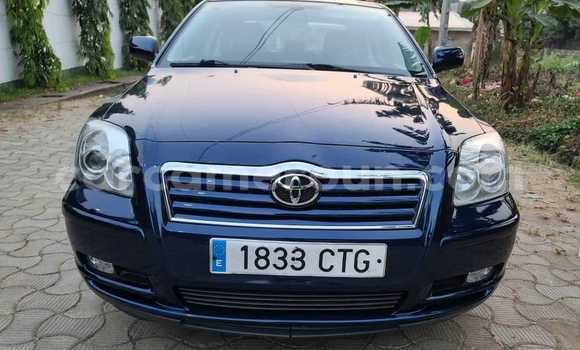 Buy Used Toyota Tercel Blue Car in Bafang in West Cameroon Buy Used Toyota Tercel Blue Car in Bafang in West Cameroon