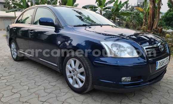 Buy Used Toyota Tercel Blue Car in Bafang in West Cameroon Buy Used Toyota Tercel Blue Car in Bafang in West Cameroon