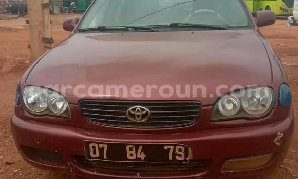 Buy Used Toyota Corolla Other Car in Bafoussam in West Cameroon